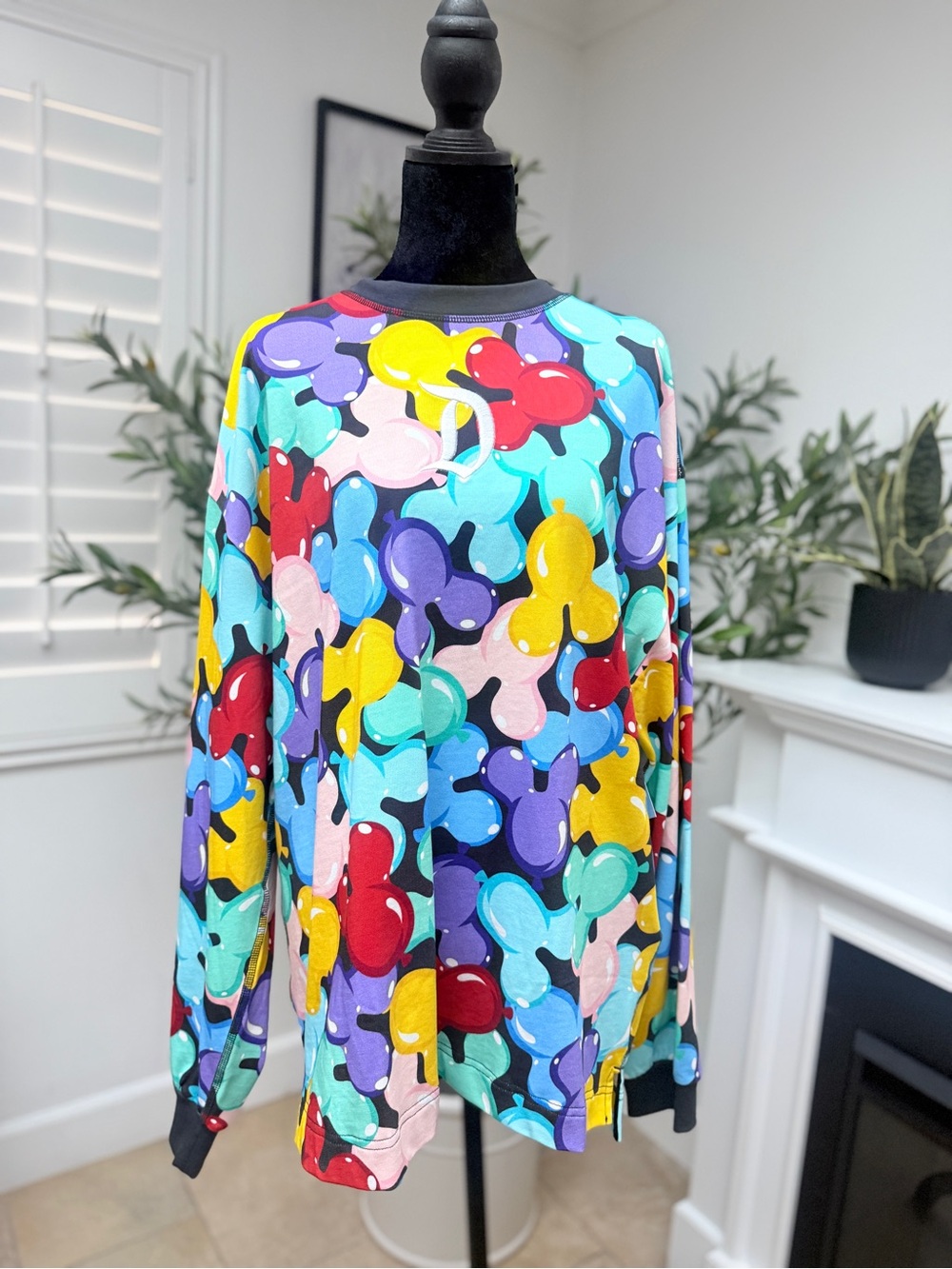 NWOT Disneyland Colorful Pop-Graphic Long Sleeve Top